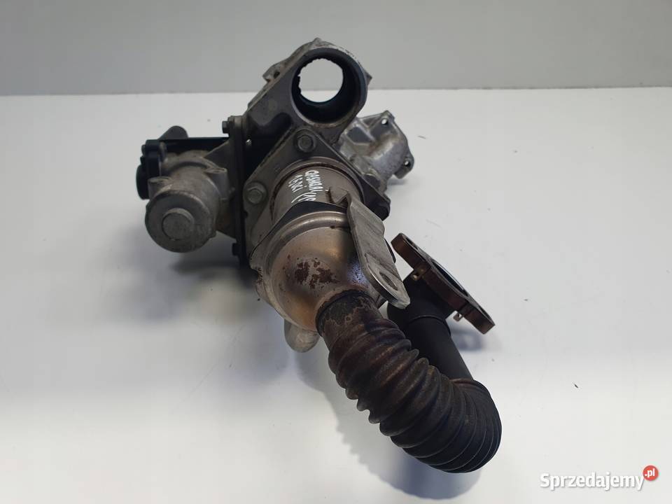 Nissan Qashqai 15 DCI ZAWÓR EGR CHŁODNICA SPALIN sprzedam