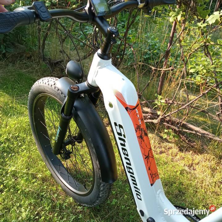 Rower elektryczny Sport i Wypoczynek