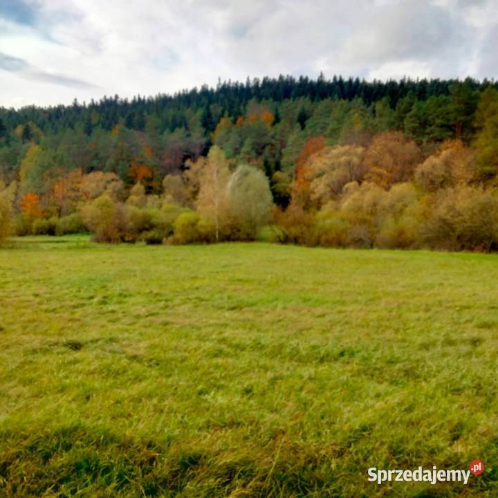działka Beskid Niski Dukielszczyzna 50zł/m2 Krosno