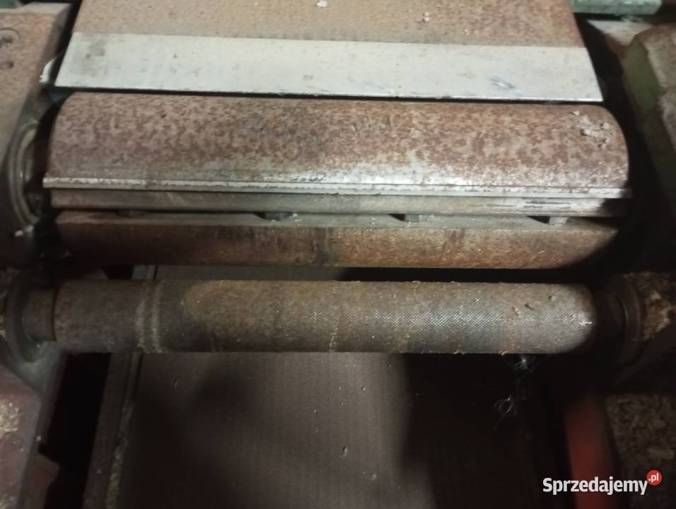 Grubościówko wyrówniarka Buk