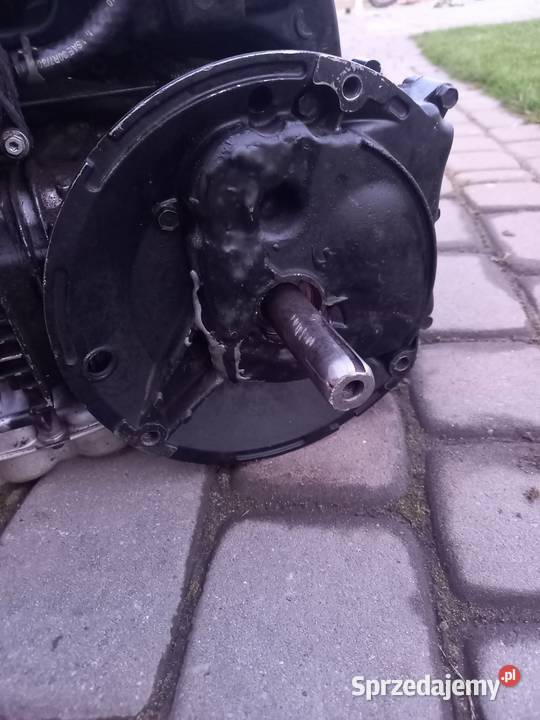 Silnik briggsstratton 550e opolskie Krośnica