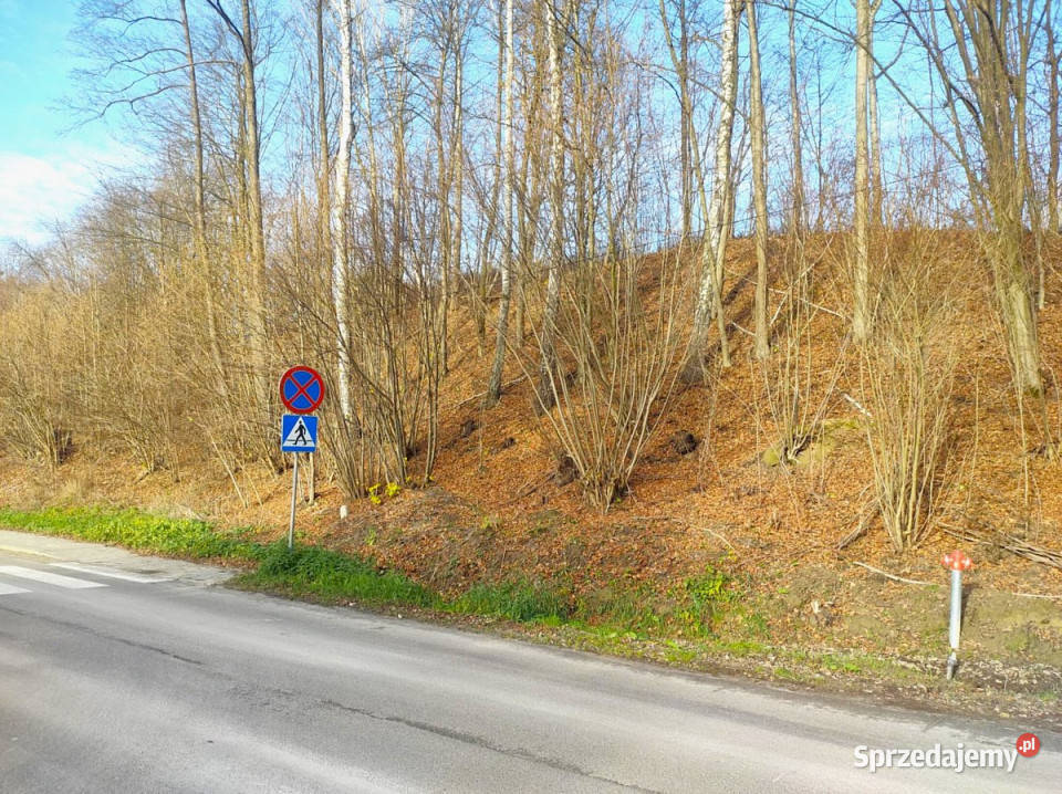 Działka Kazimierz Dolny 16626m2 woda Sprzedaż