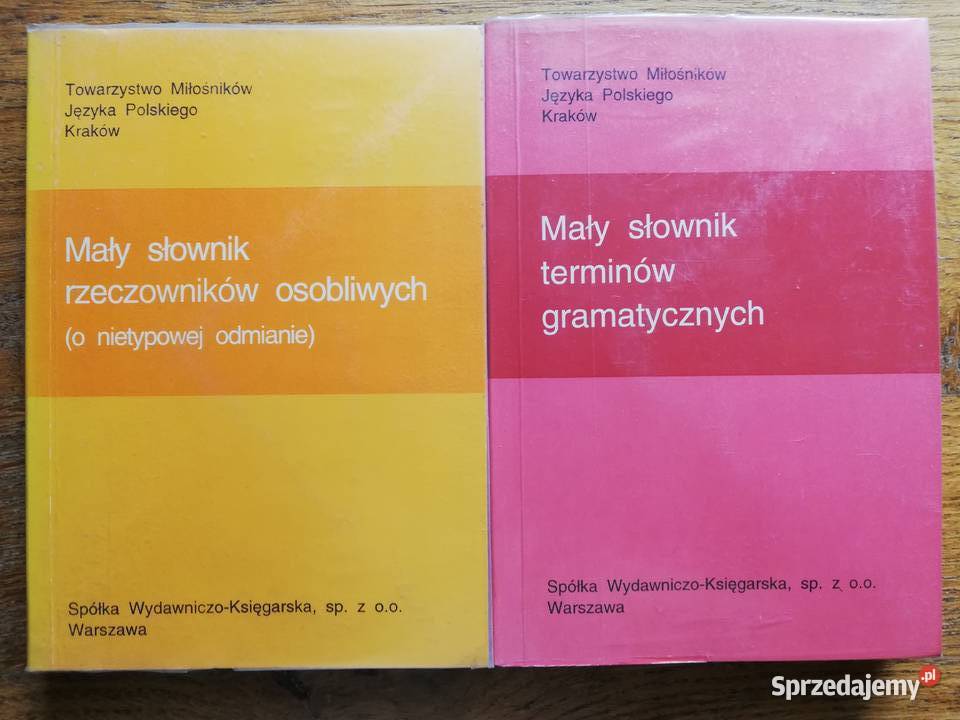 Mały słownik terminów gramatycznych rzeczowników ISBN 8370641377 małopolskie Kraków