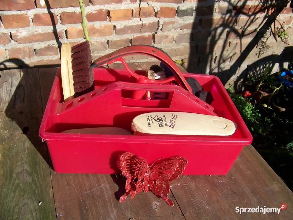 szczotki konia zachodniopomorskie Dargikowo