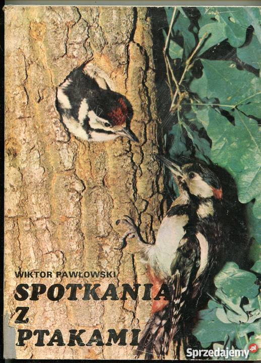 Spotkania z ptakami zachodniopomorskie