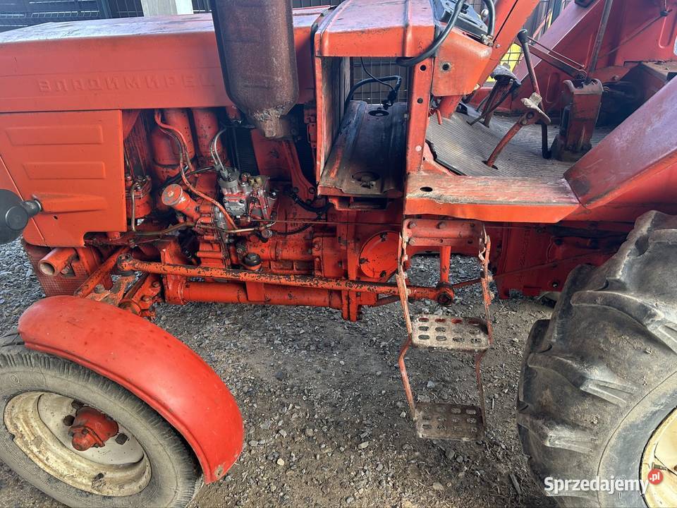 Sprzedam władymirca Lublin sprzedam