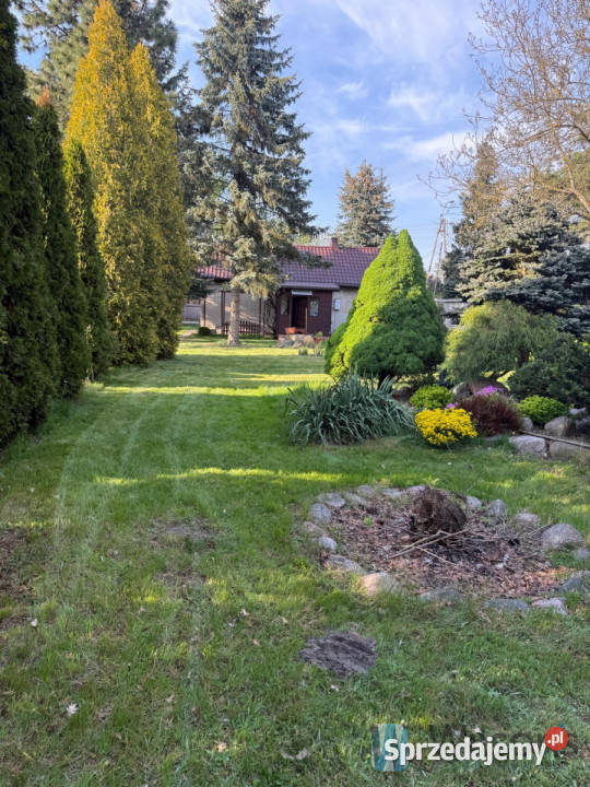 Działka 1900 metrów Prace Małe sprzedam