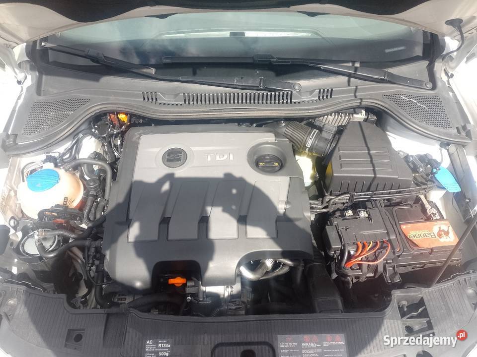 Ibiza IV 16 143000 Zadbany Piła