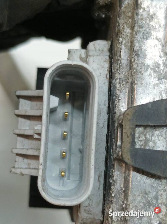 SONDA LAMBDA NOX 4 2306214001 16 115 Peugeot osobowe świętokrzyskie