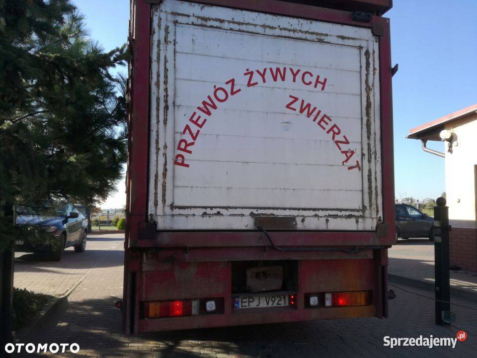 Waga winda do zabudowu do przewozu zwierząt Osiek