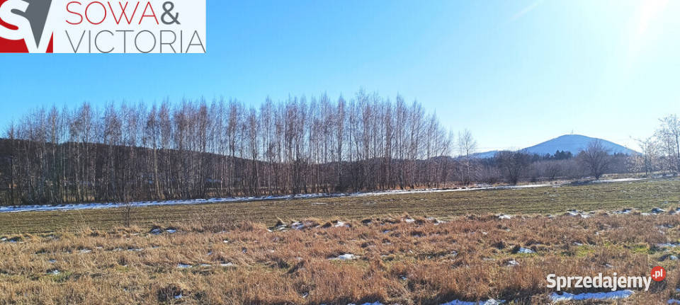 Słoneczna działka budowlana w Szczawnie Zdroju Szczawno-Zdrój