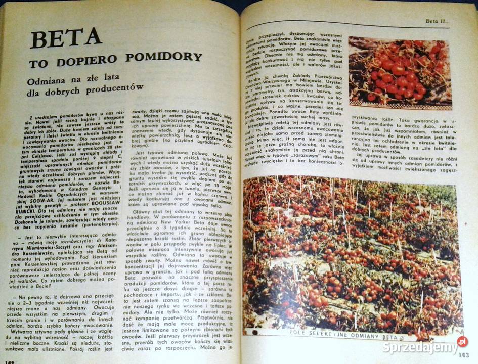 Poradnik rolnika i pszczelarza kalendarz na 1988 Książki i Podręczniki Chełm