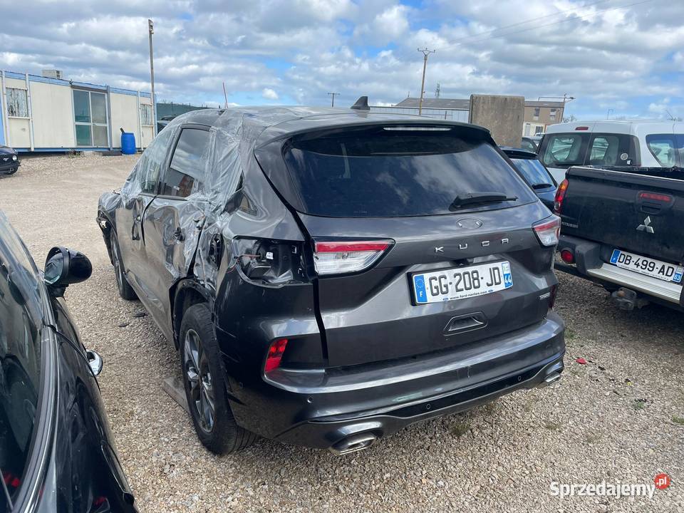 FORD Kuga 25 duratec 190 FHEV GG208 Katowice