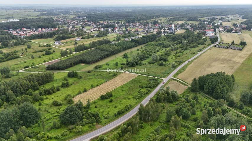 Działka Borek 4572m2