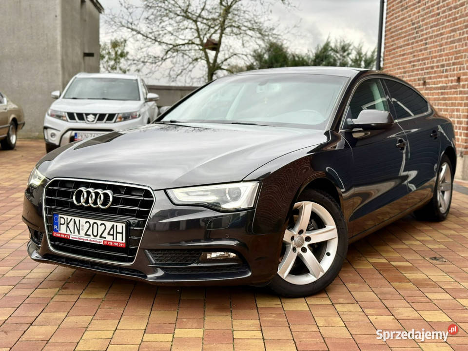 Audi A5 Zweryfikowany CarVertical 8T 20072016 wielkopolskie