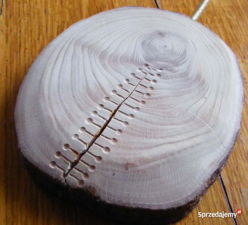 Lampa z tykwy rekodzielo Wąwolnica