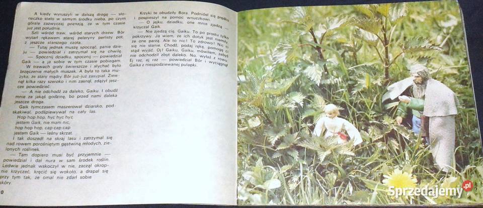 Bór i Gaik w wiosennym lesie Jerzy Michał lubelskie Chełm