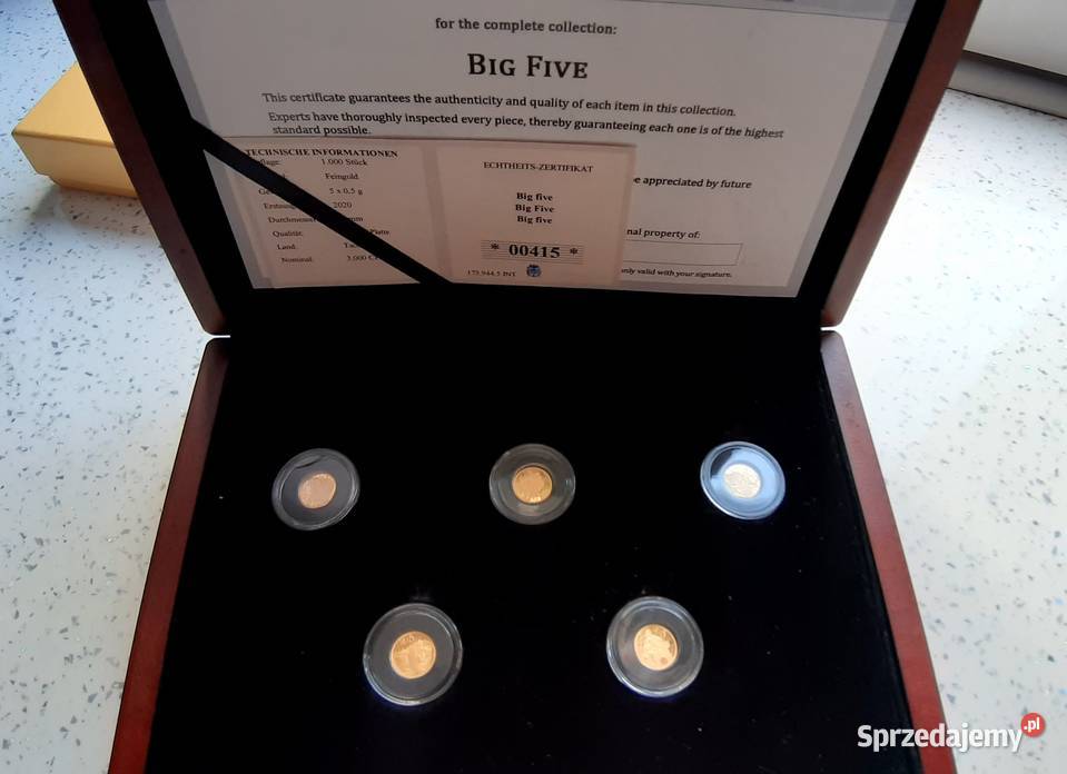Najmniejsze BIG Five Little Five ZŁOTO
