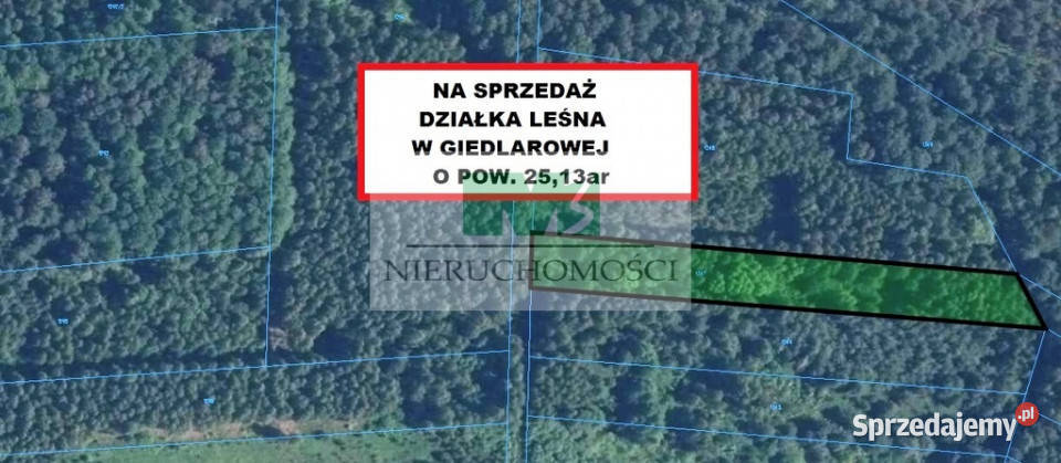 DO SPRZEDAŻY DZIAŁKI LEŚNOROLNE BRZÓZA KROLEWSKA sprzedam