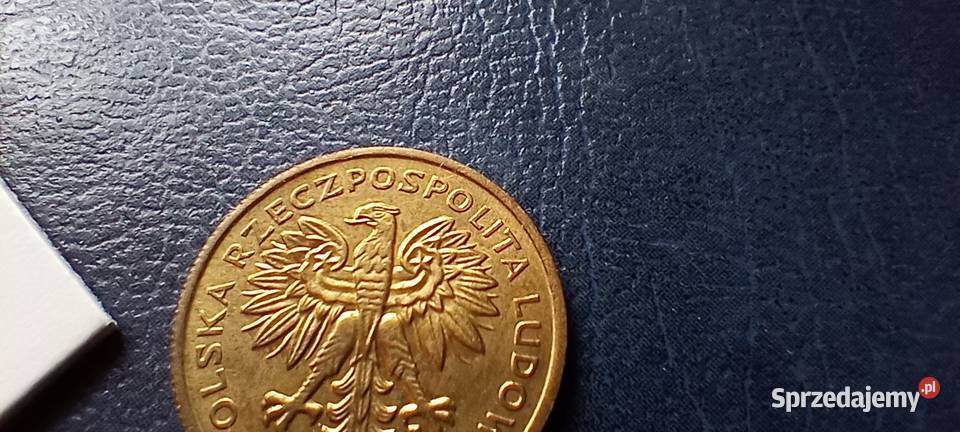 Stare monety 2 złote 1982 PRL Polska cudo Lesko