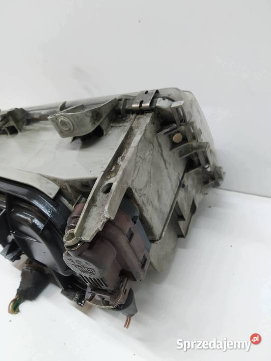 LAMPA PRZÓD PRAWA EU Citroen Evasion I 19942002 świętokrzyskie