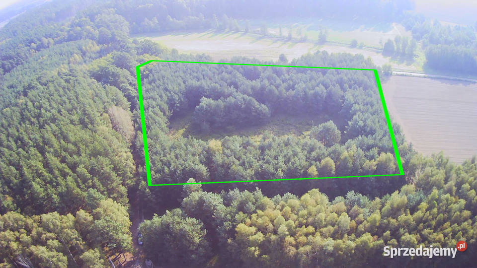 Działka z prywatnym lasem Wydane WZ i pozwolenie wielkopolskie Nowa Róża