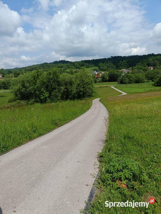 Działka pod zabudowę z piękną panoramą w 62m Domaradz