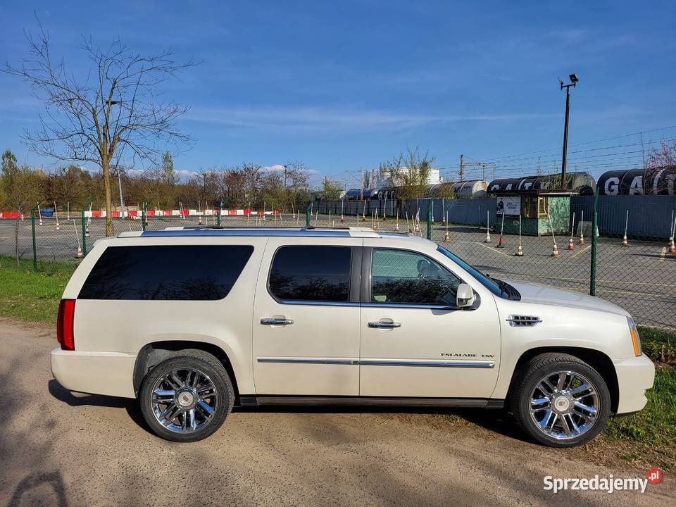 CADILLAC ESCALADE ESV PLATINUM 62 V8 BIAŁA PERŁA Poznań