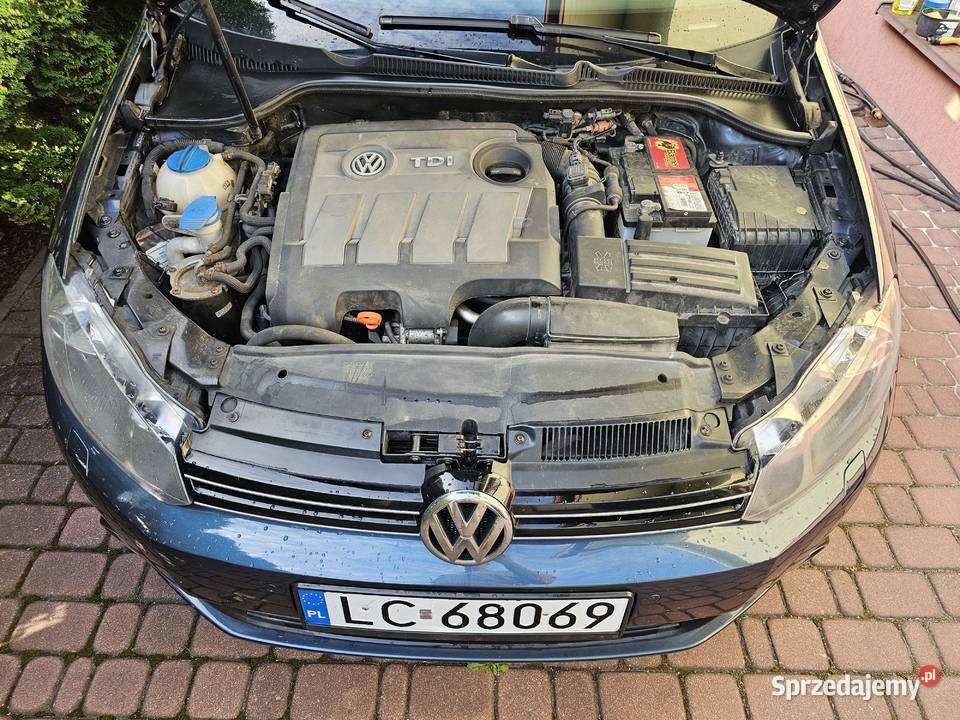 VW Golf Salon Polska