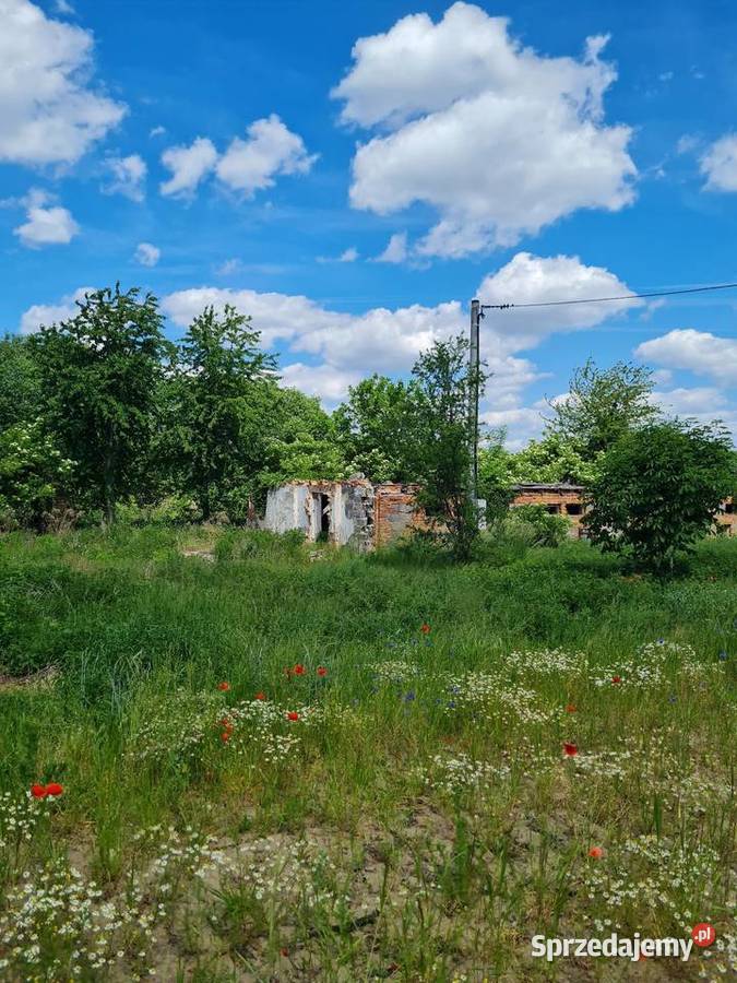 Działka na sprzedaż bez pośredników dolnośląskie Wilkowa
