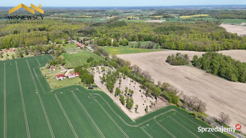 Działka 5306 m Dawidy