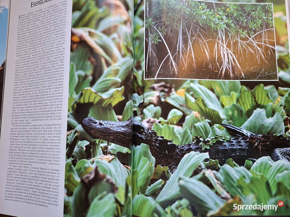 Cuda Natury Joyce Robins Pascal Kraków