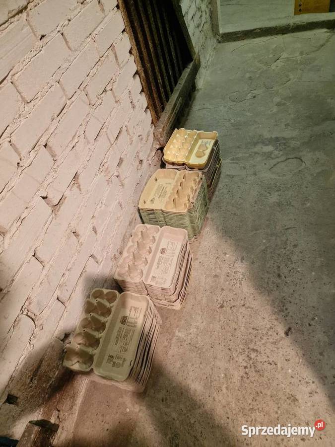 Wytłaczanki kobiałki na jajka Pabianice