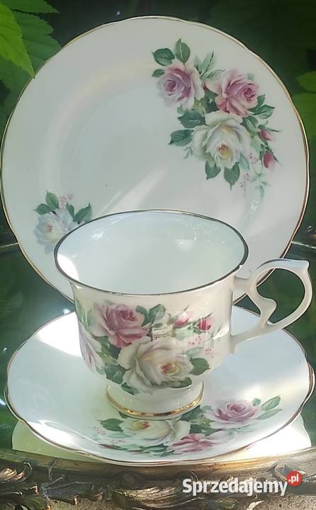 STAFFORDSHIRE porcelana angielskaTrioróże Pabianice