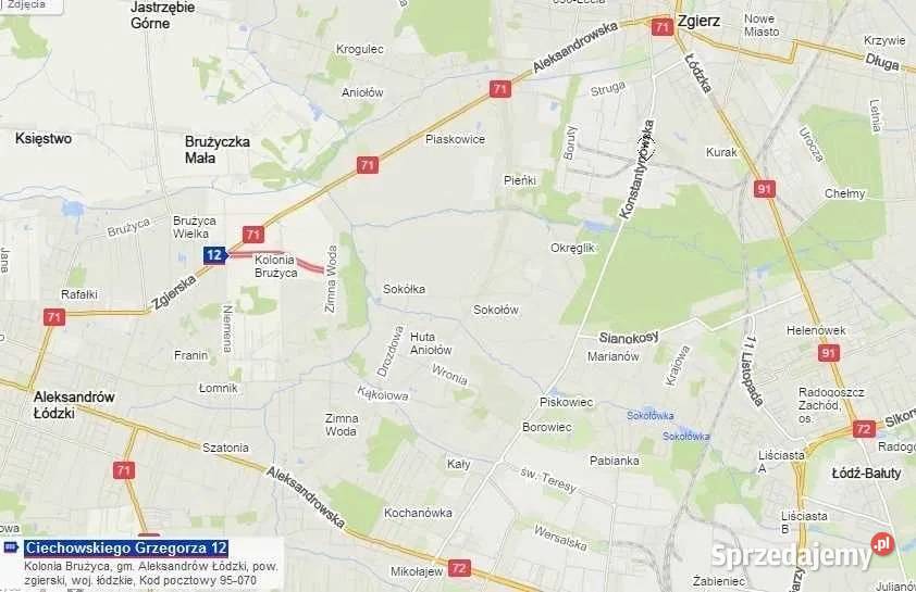 Czerwona porzeczka Aleksandrów Łódzki Zgierz