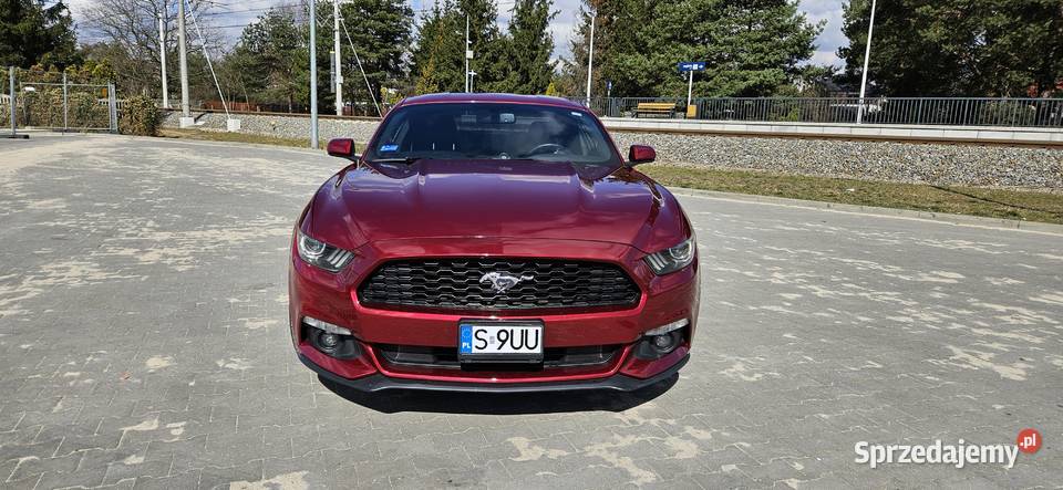 Ford Mustang 37 Automat 306 nieuszkodzony Książenice