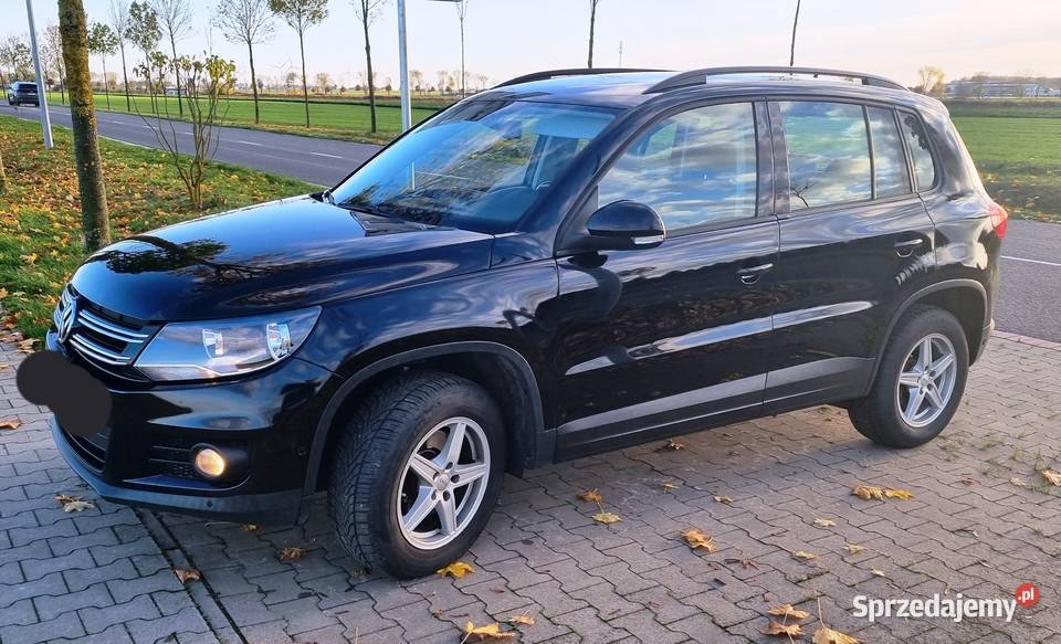 14 TSI PDC klima as park 105 tkm benzyna Tiguan Grodzisk Wielkopolski