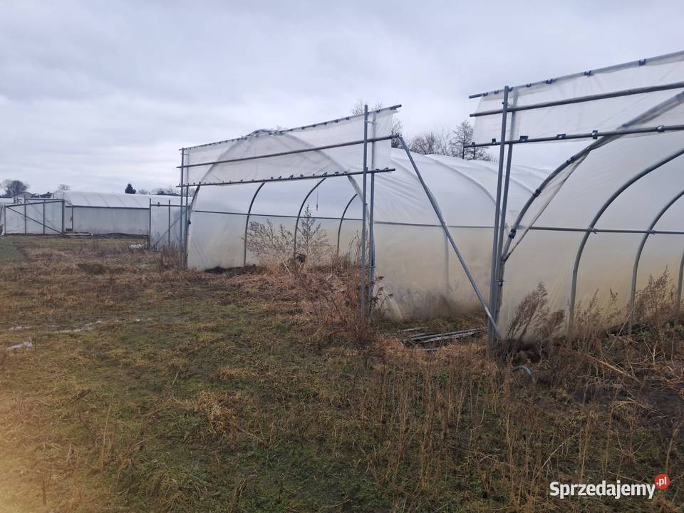 Tunel Foliowy 315 x 7 sprzedam