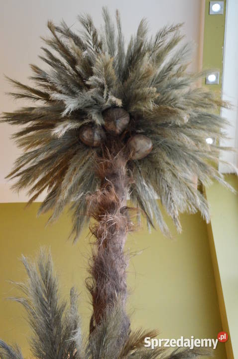 Palma sztuczna Sztuczne drzewka 25m Architektura ogrodowa Wąbrzeźno