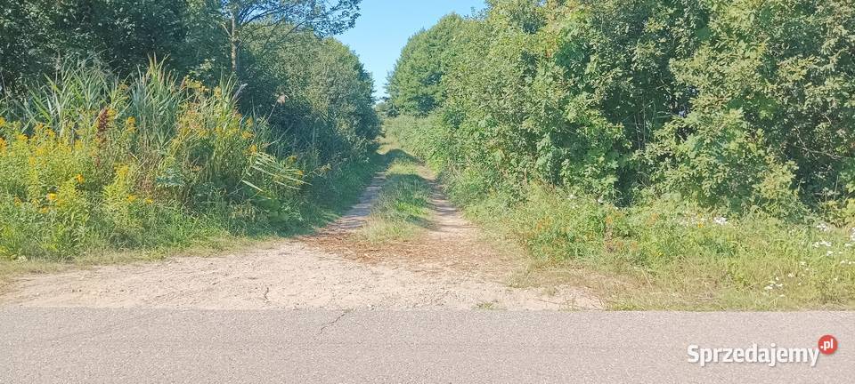 Łąka jezioro Klucz i Narew 8zł/m2 Olszewnica Nowa