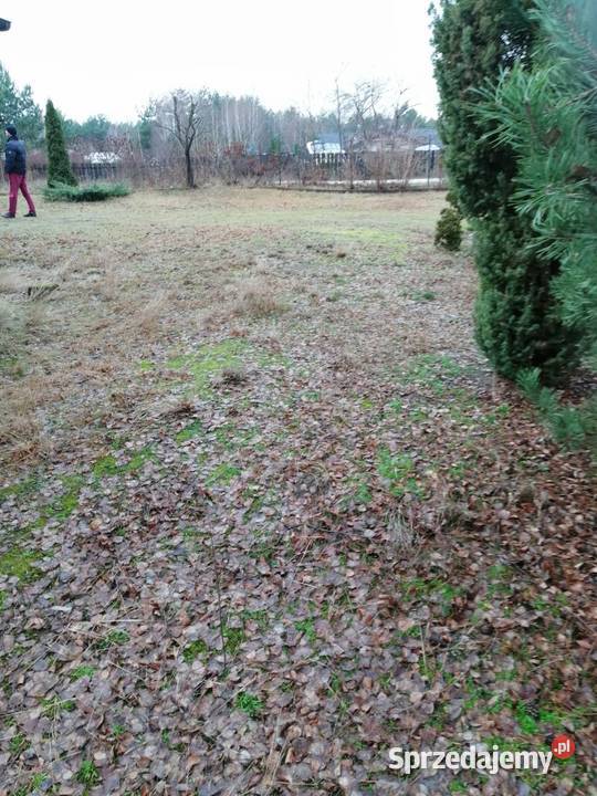 syndyk sprzeda udział w nieruchomości Nieporęt