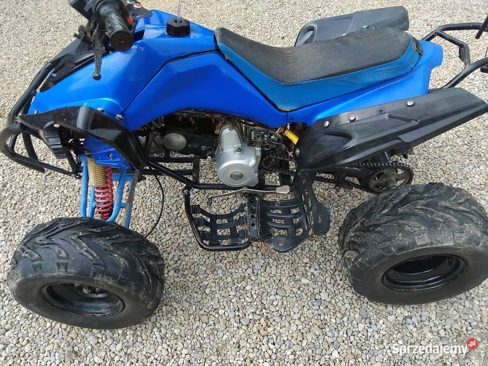 Quad 125 Konina