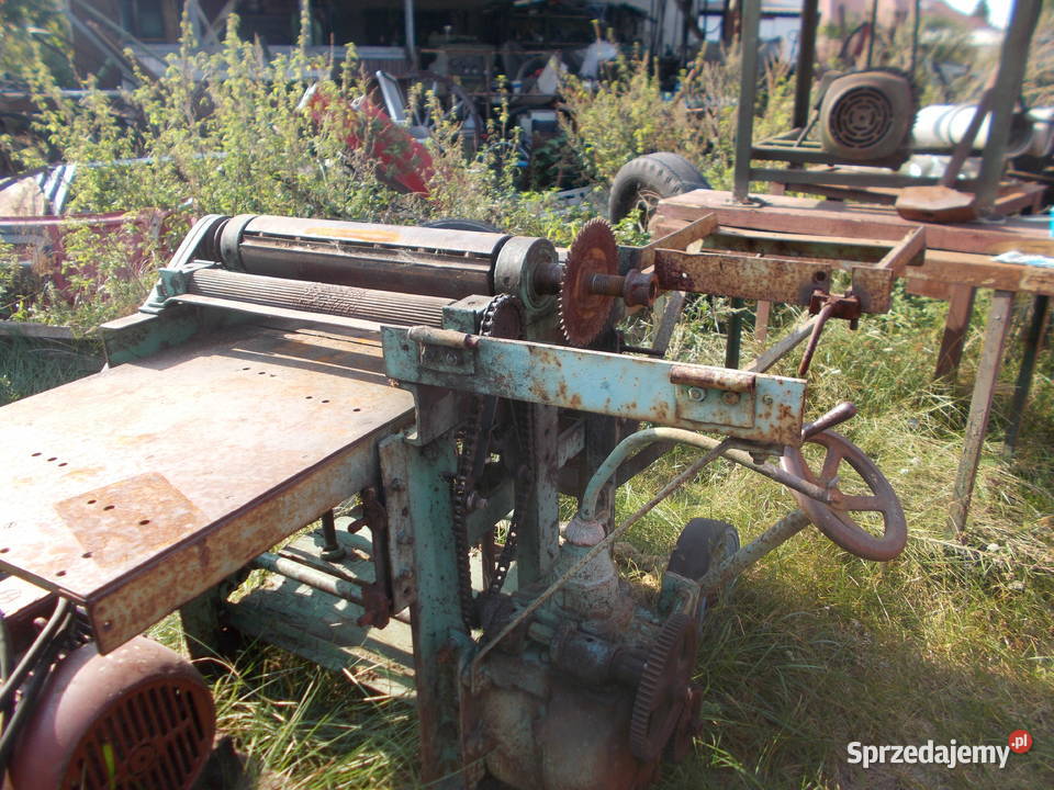 Grubościówka dolnośląskie Syców