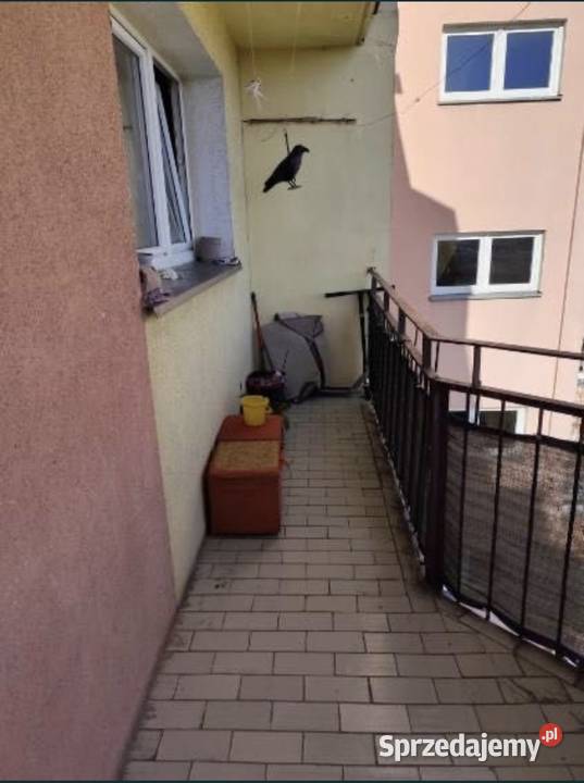 Do wynajęcia trzypokojowe mieszkanie wielkopolskie Kalisz