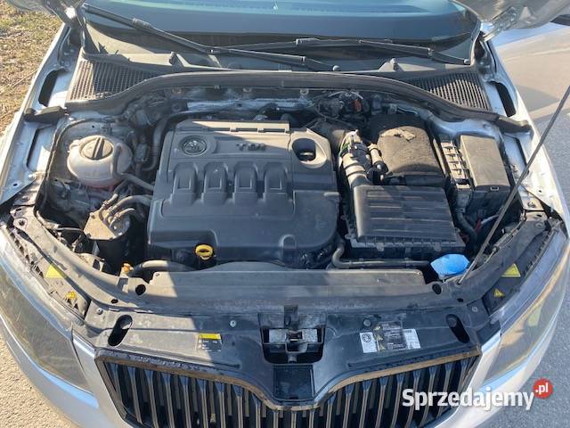 Skoda Octavia 20 TDI Elegance DSG Octavia Knyszyn