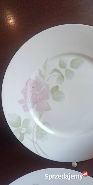 Talerz Rosenthal Selb Bavaria Syg Z lat 20 XX Gdańsk