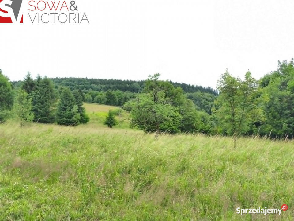 Mieszkanioworekreacyjna działka z widokami Walim sprzedam