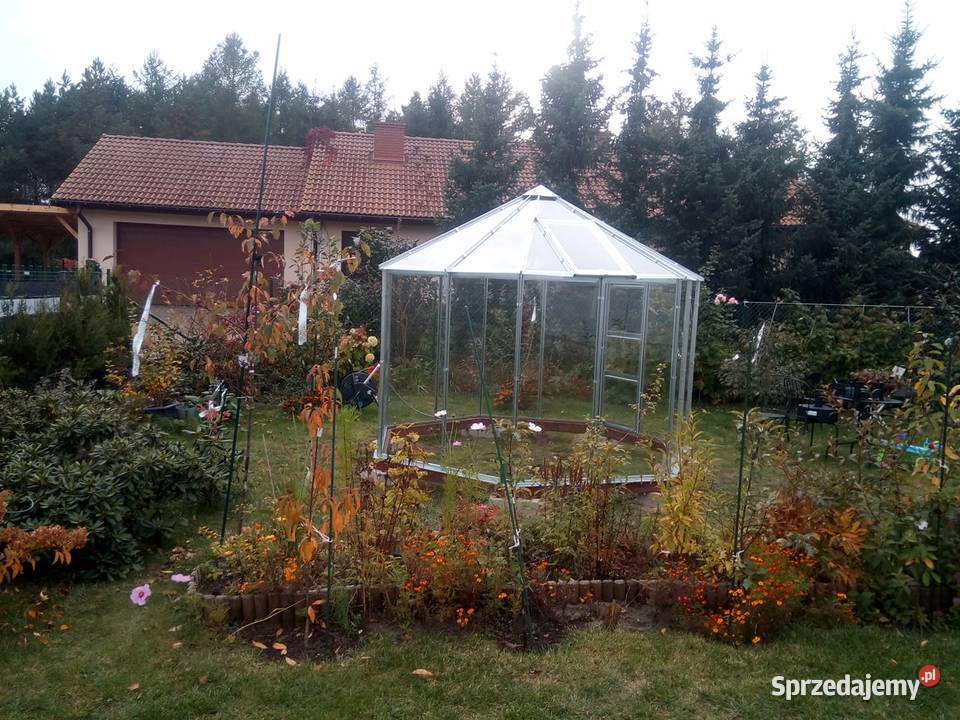 Szklarnia Siedmiokątna Natalia zachodniopomorskie Łobez