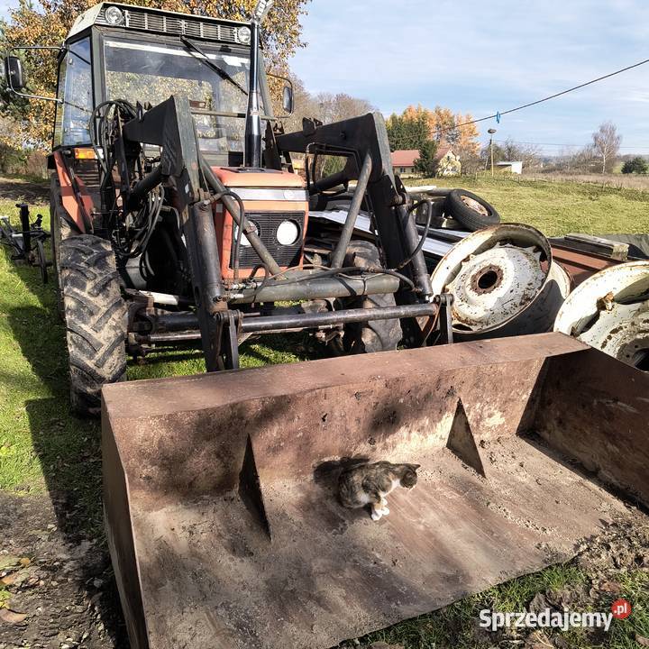 Ciągnik Zetor 6245 Zetor 6045 6245 7245 Zetor Biskupiec sprzedam