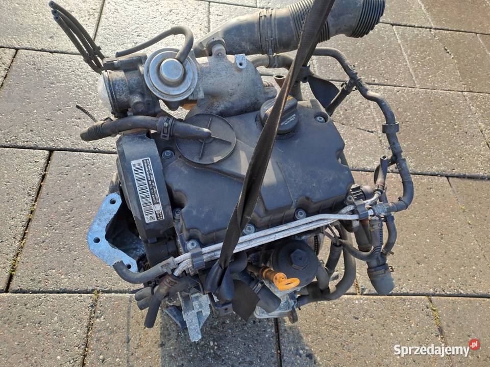 Volkswagen Polo 9n3 14TDi 70 silnik kompletny Silniki i osprzęt Jastrzębie-Zdrój sprzedam